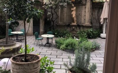 Expedición de pasaporte para menores en caso de divorcio